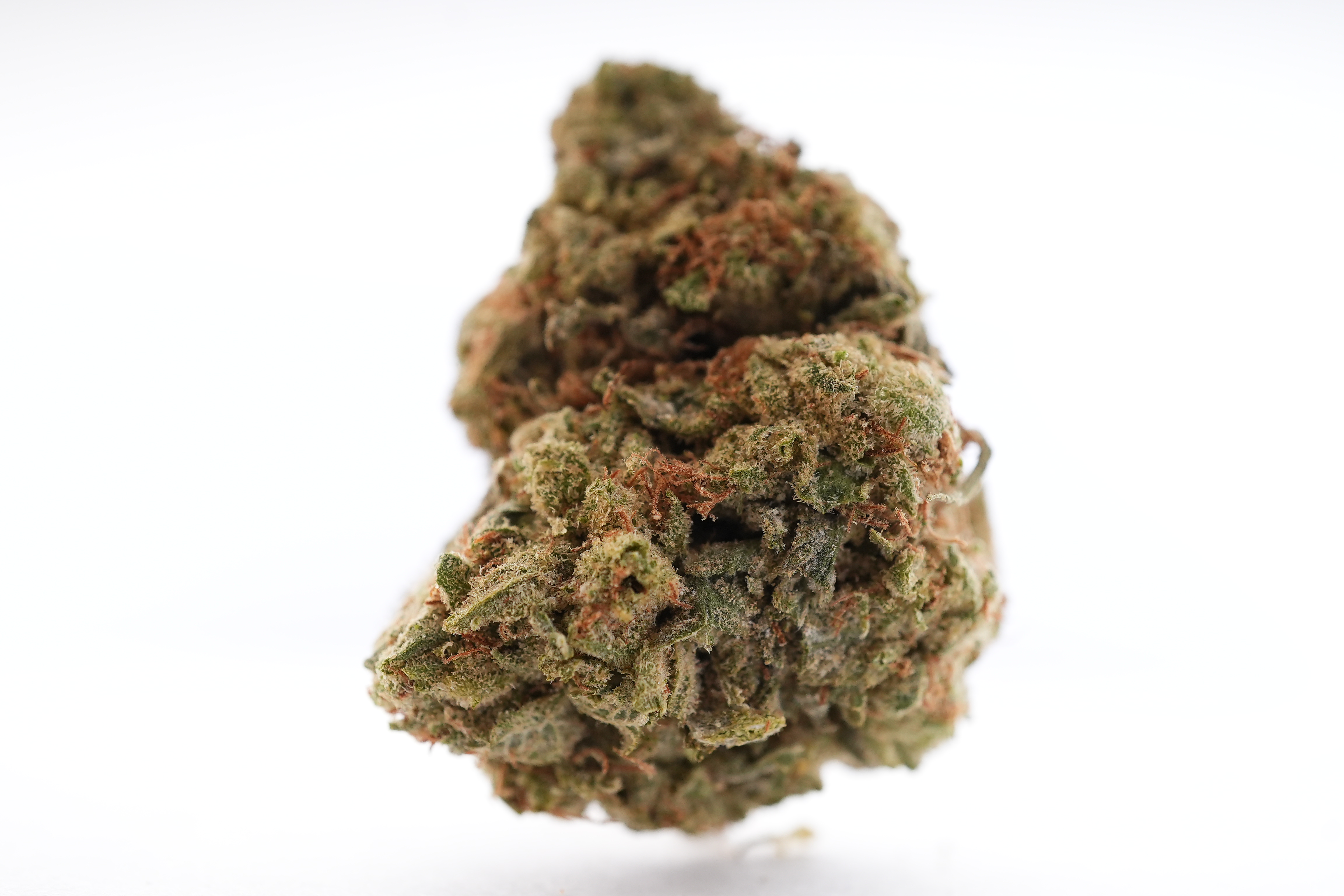 KAM00145 1 KAM00145 1