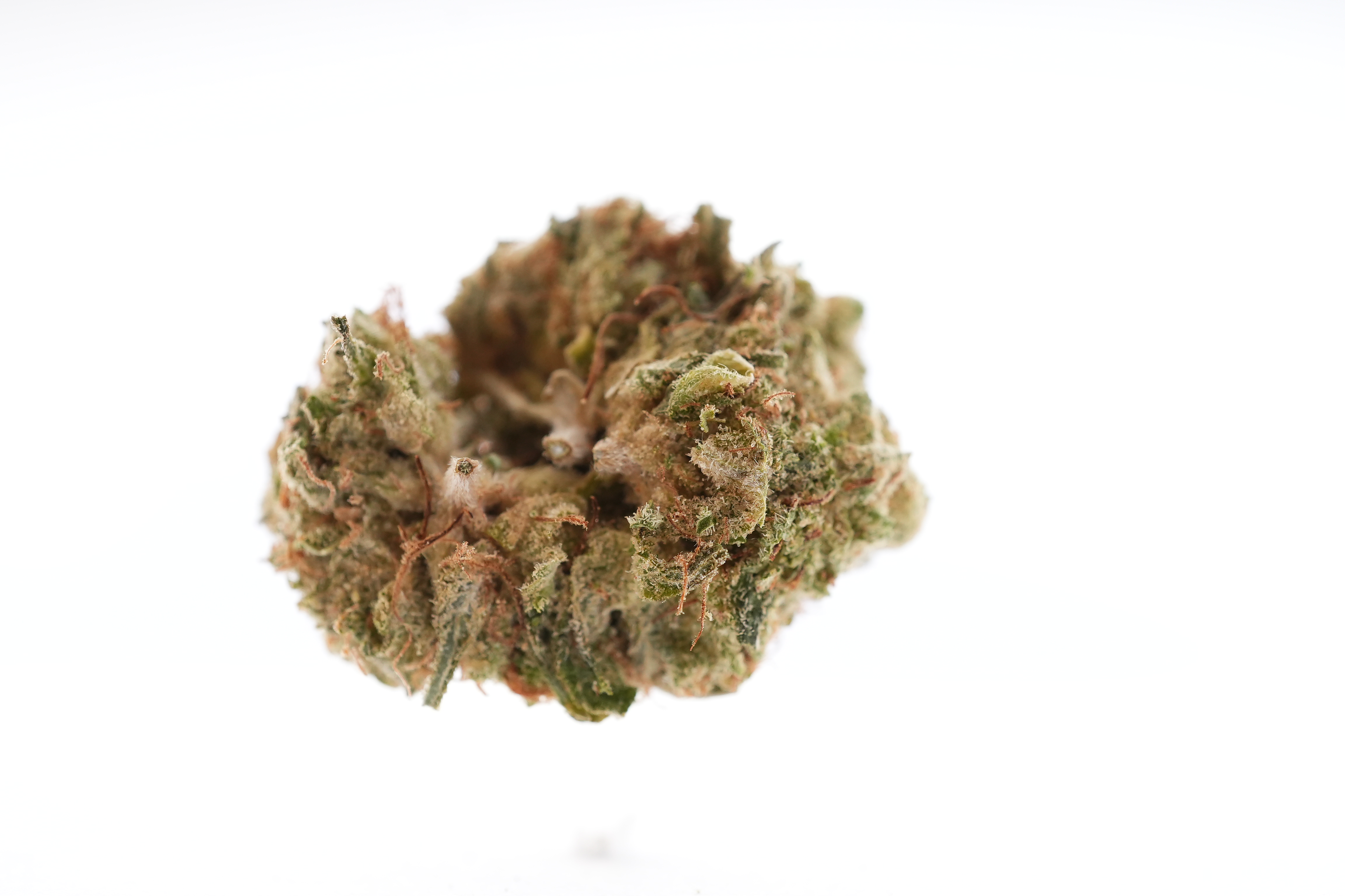 KAM00148 1 KAM00148 1