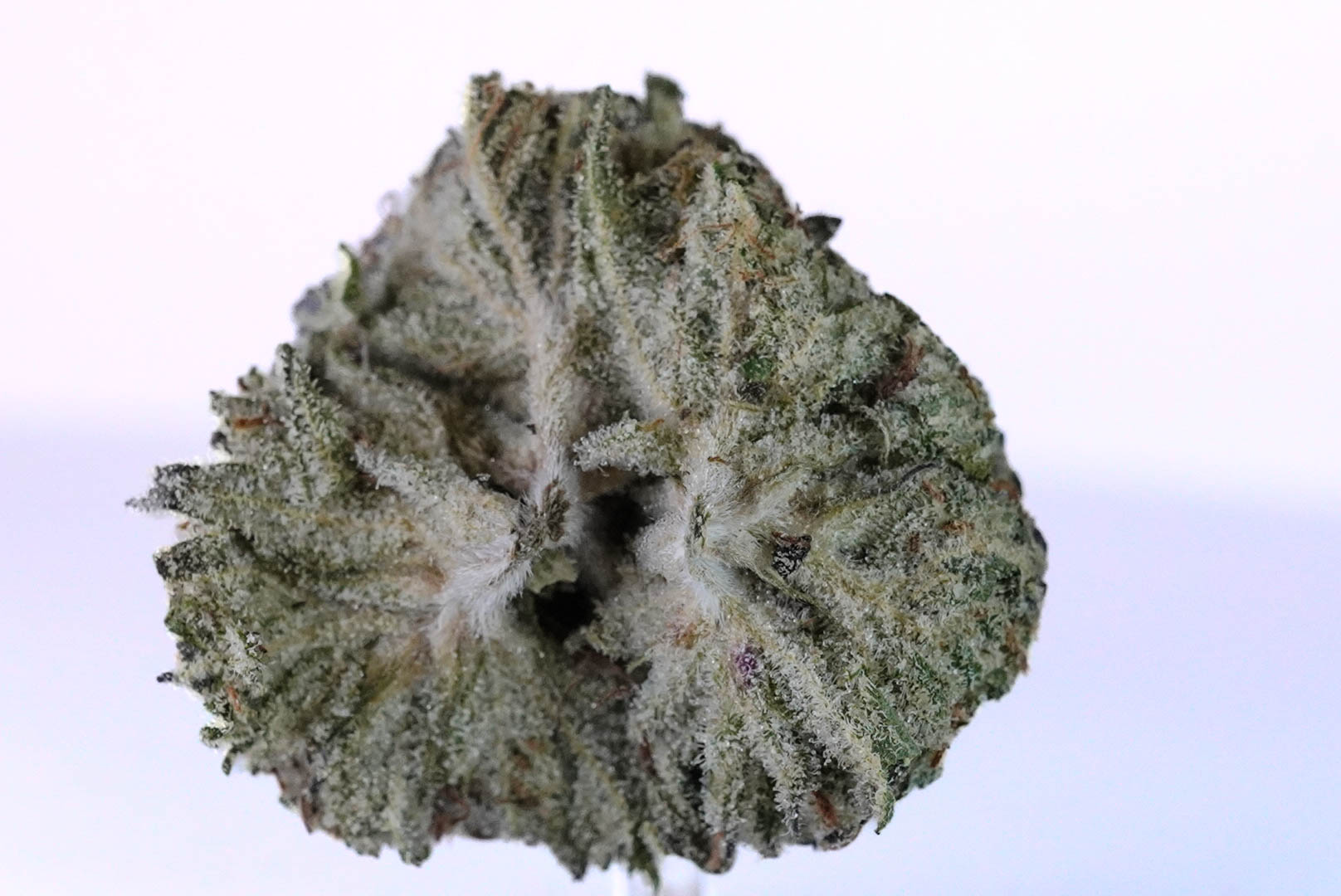 DSC01997 1 DSC01997 1