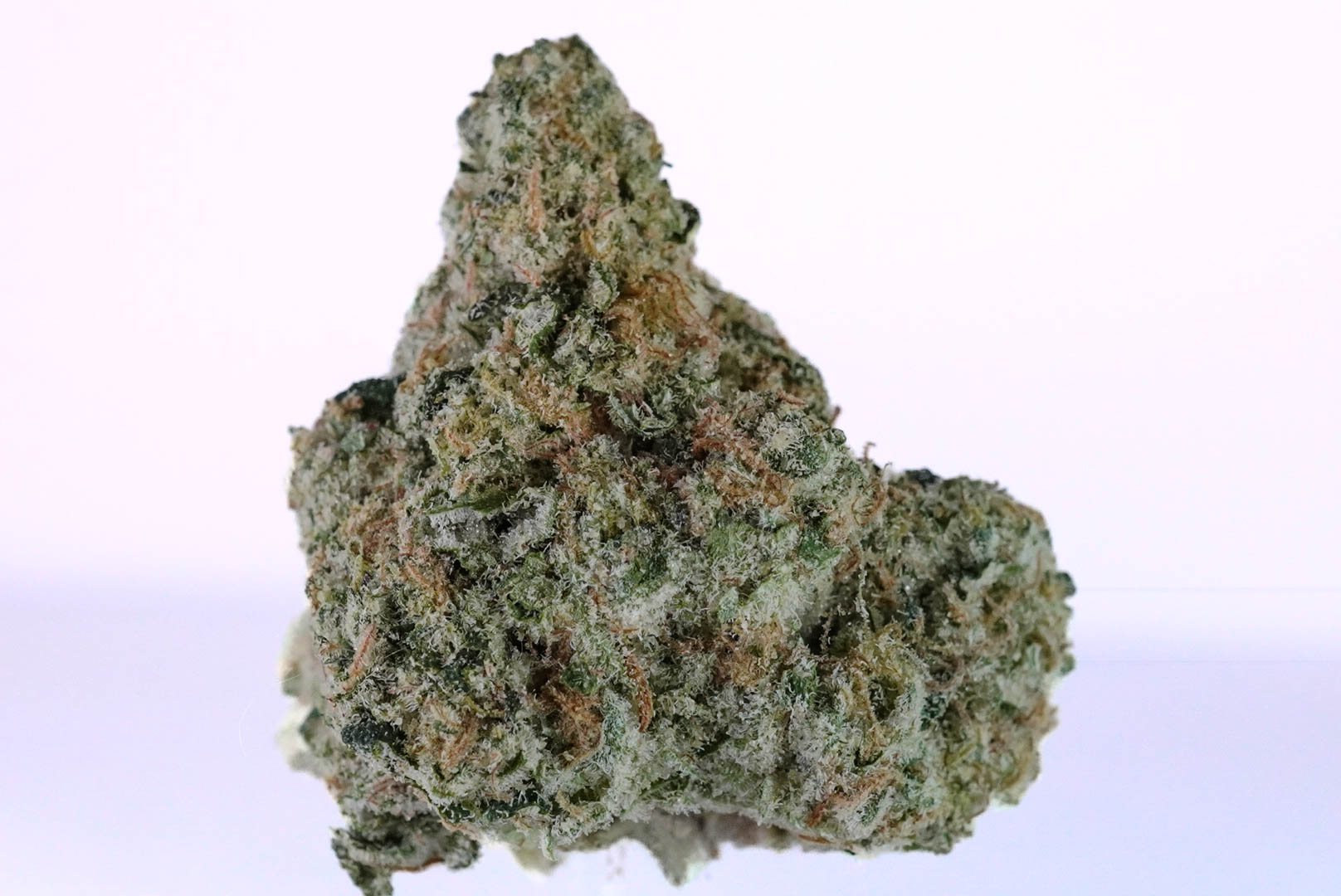 DSC02016 2 DSC02016 2