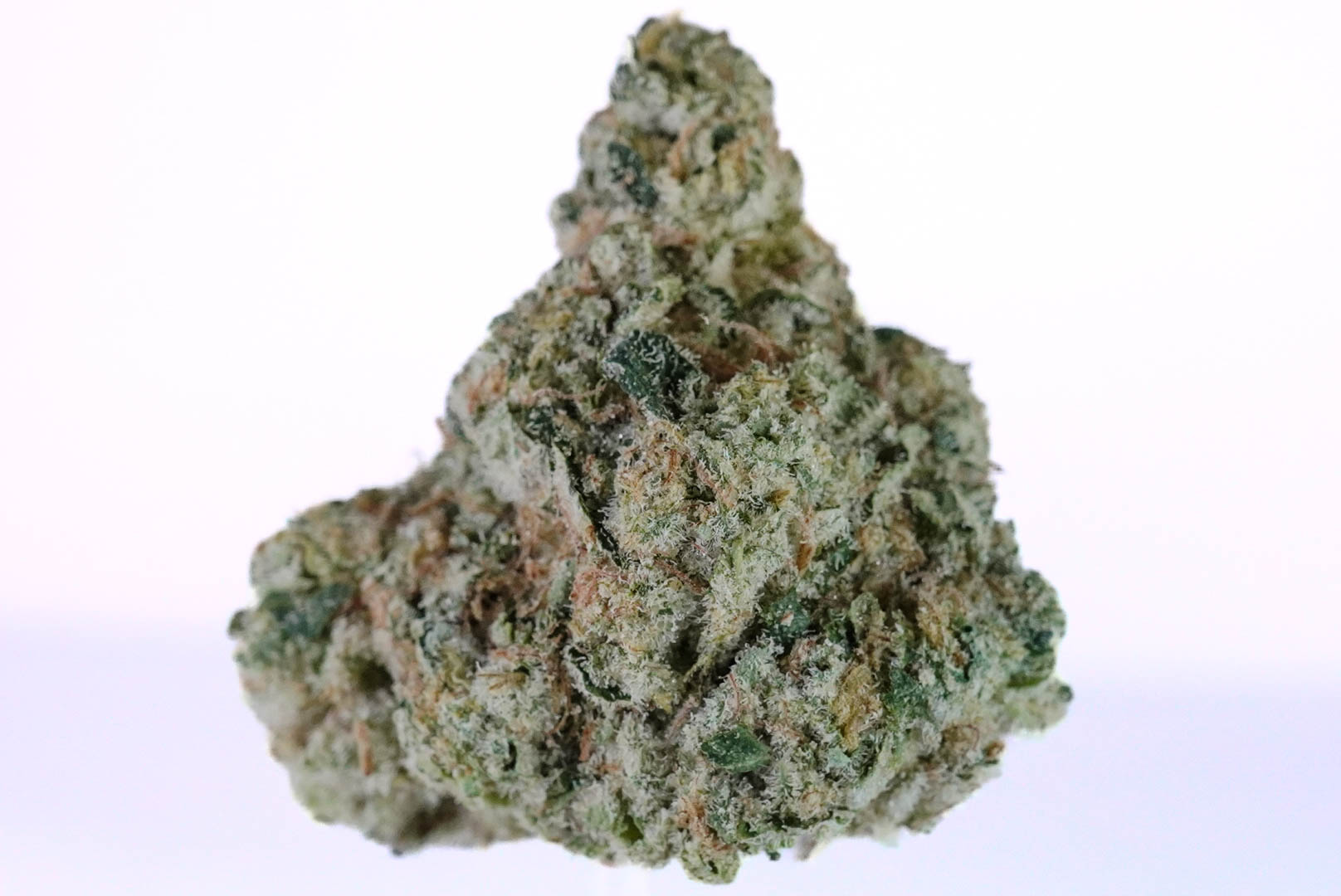 DSC02017 2 DSC02017 2