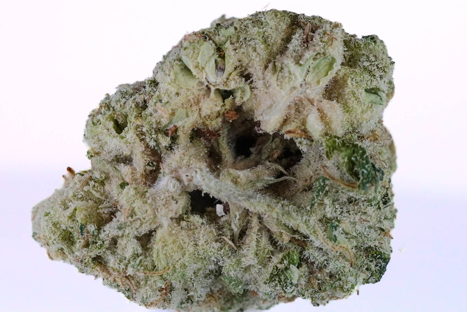 DSC02018 2 DSC02018 2