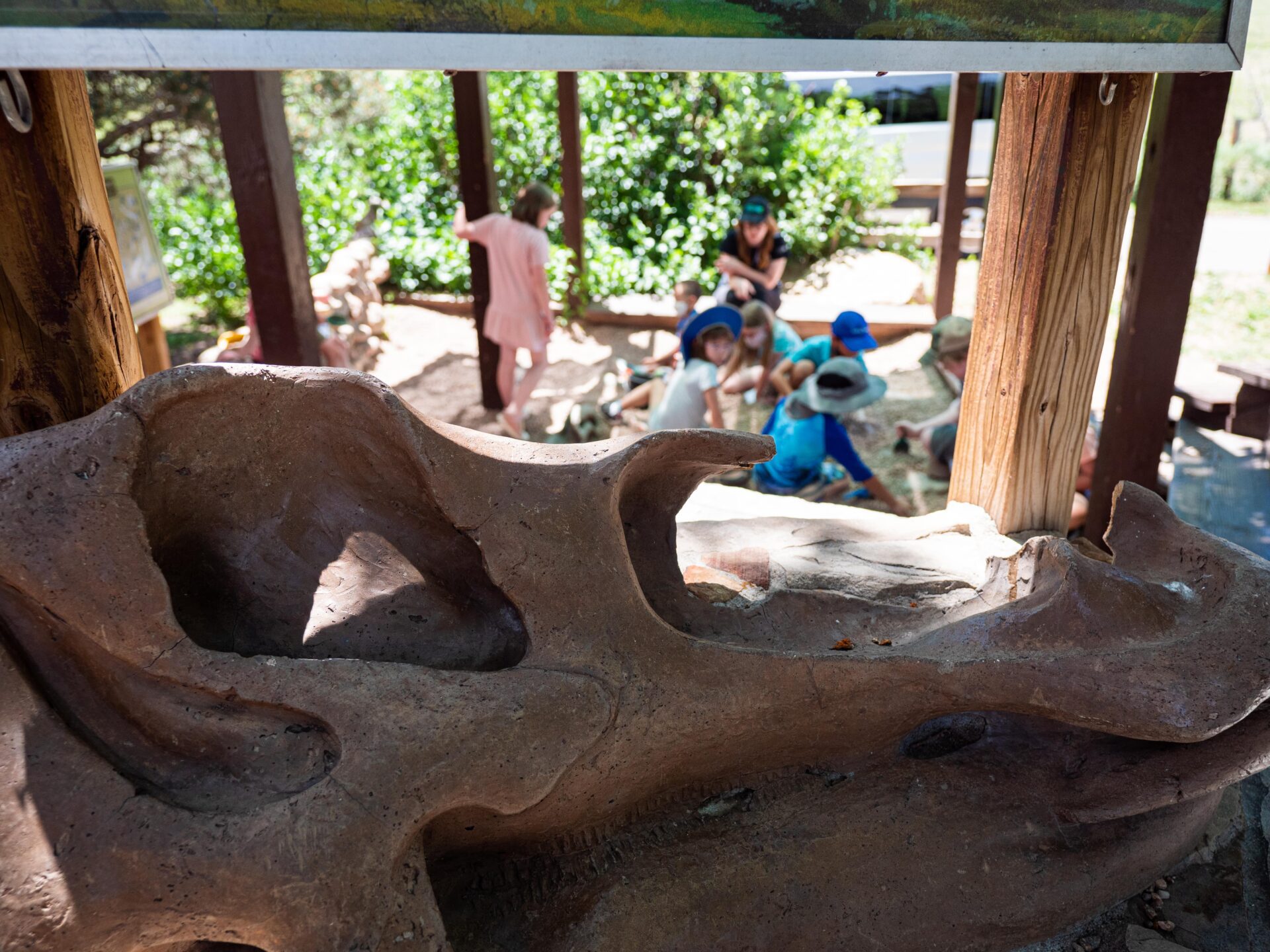 children looking at dinosaur bones at Dinosaur Ridge