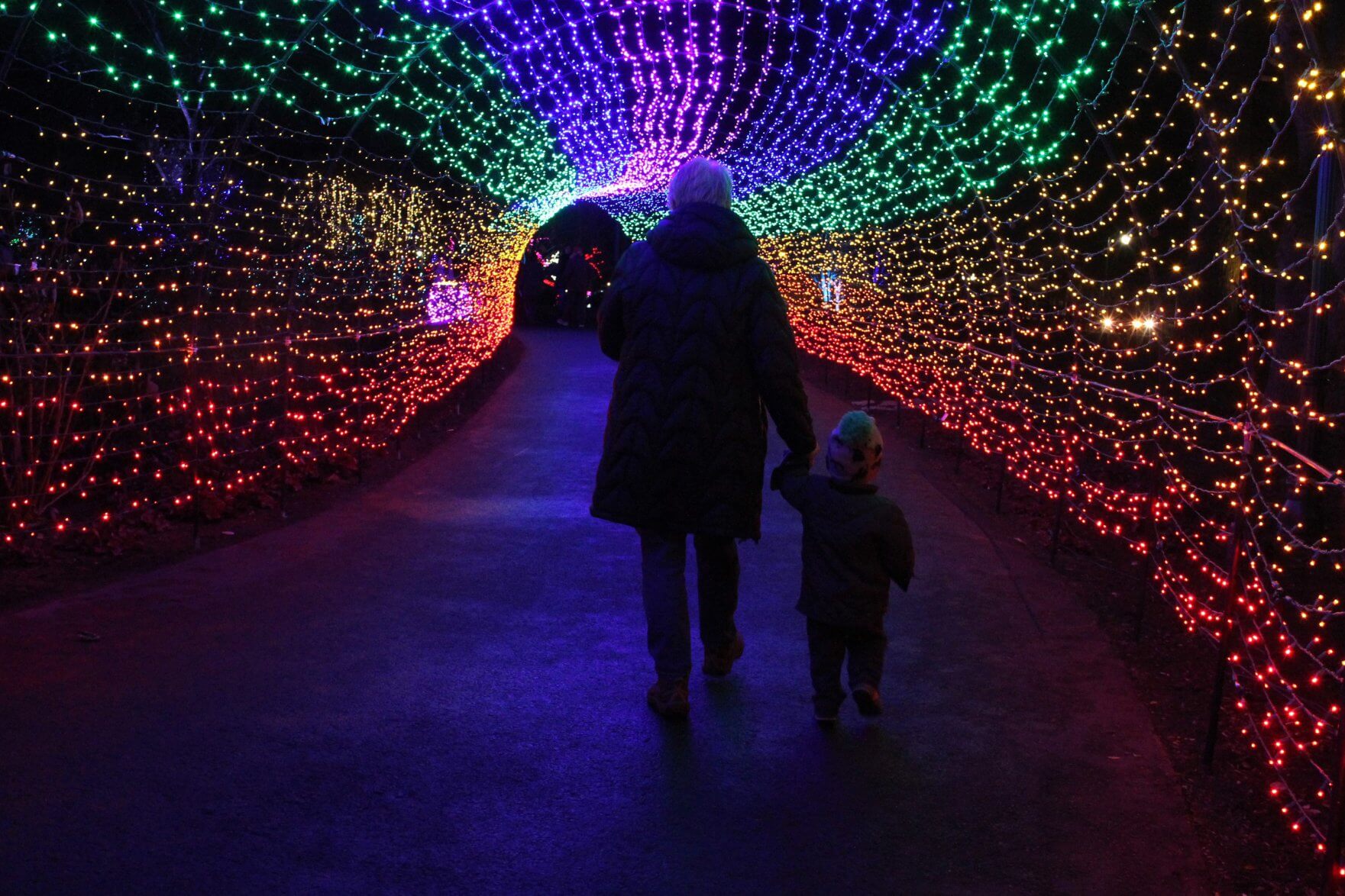 walking through a night time tunnel of colorful lights at Franklin Park Conservatory and Botanical Gardens