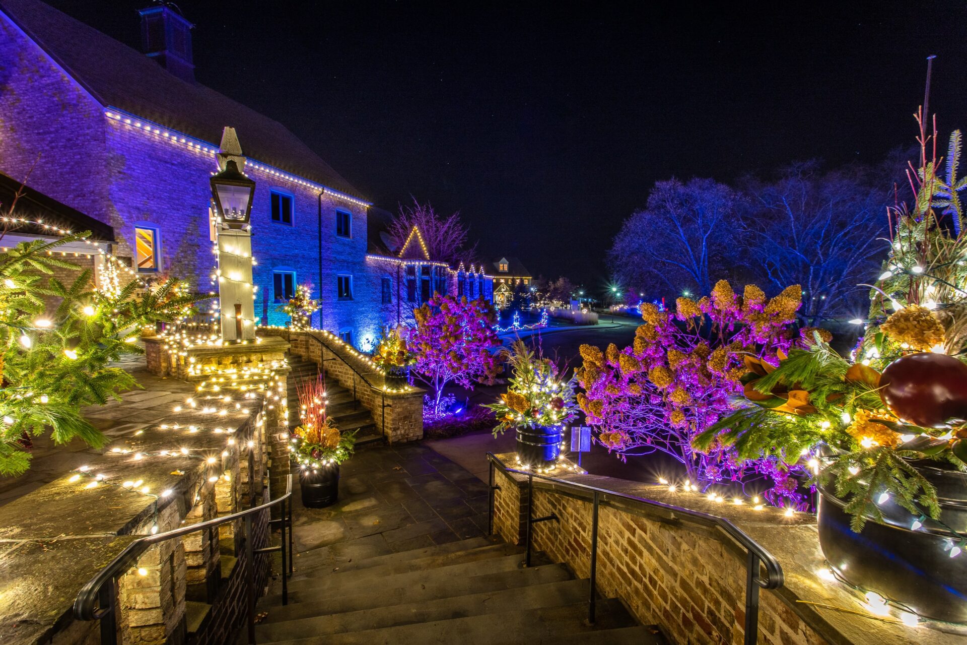 Christmas lights lighting up a pathway at Minnesota Landscape Arboretum 