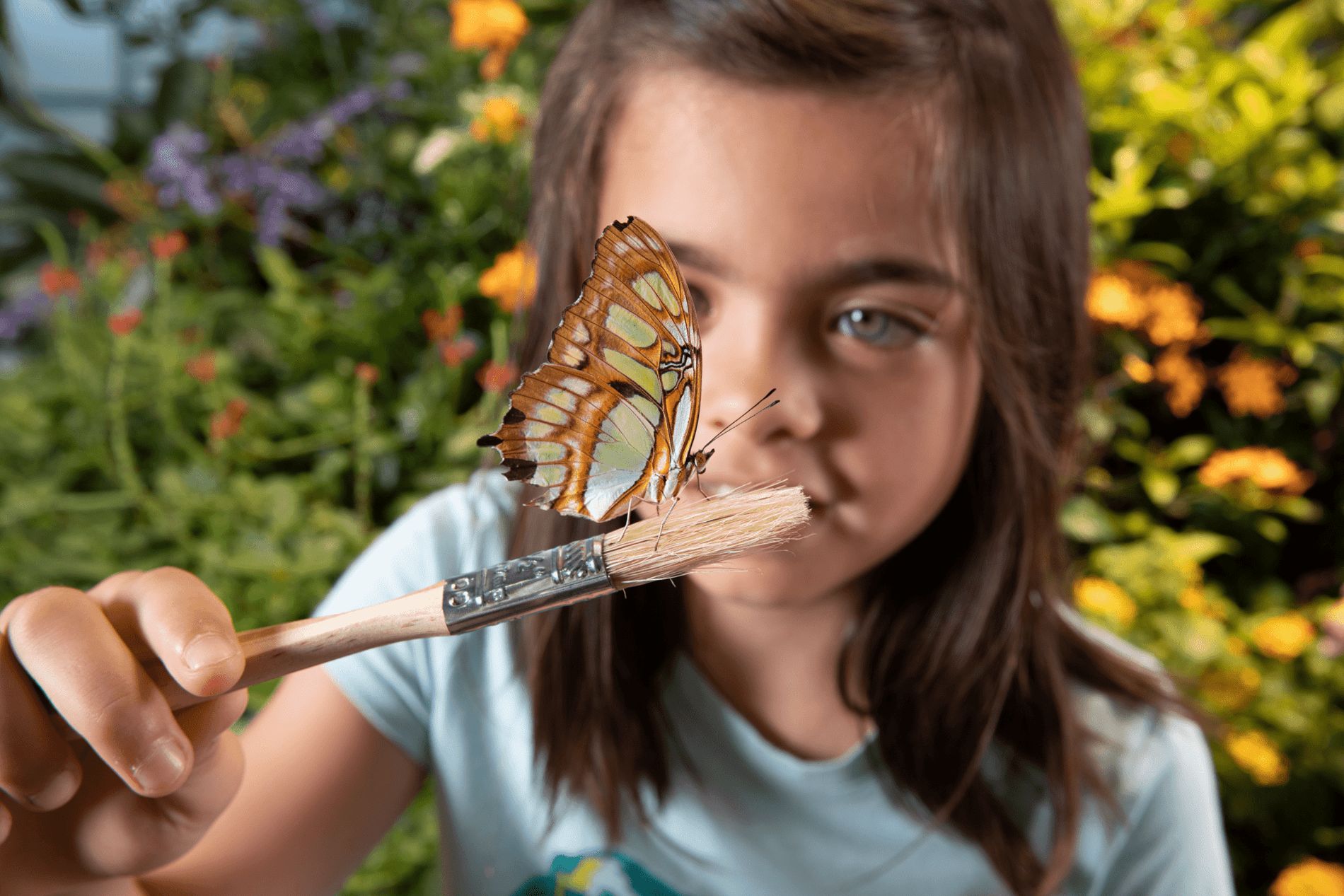 girl holding a butterfly at the National Museum of Natural History butterfly pavilion