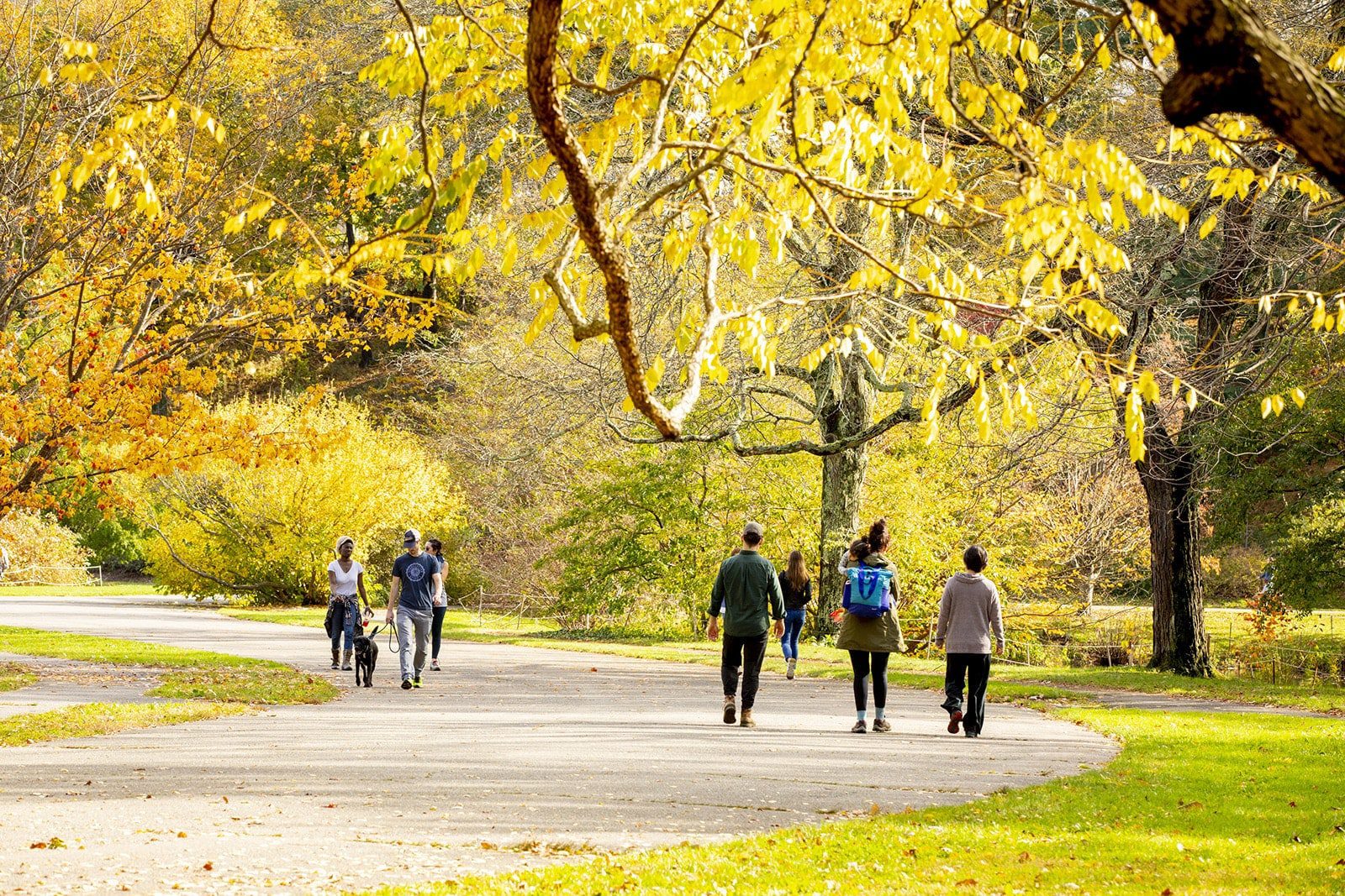 people walking through Arnold Arboretum in Boston