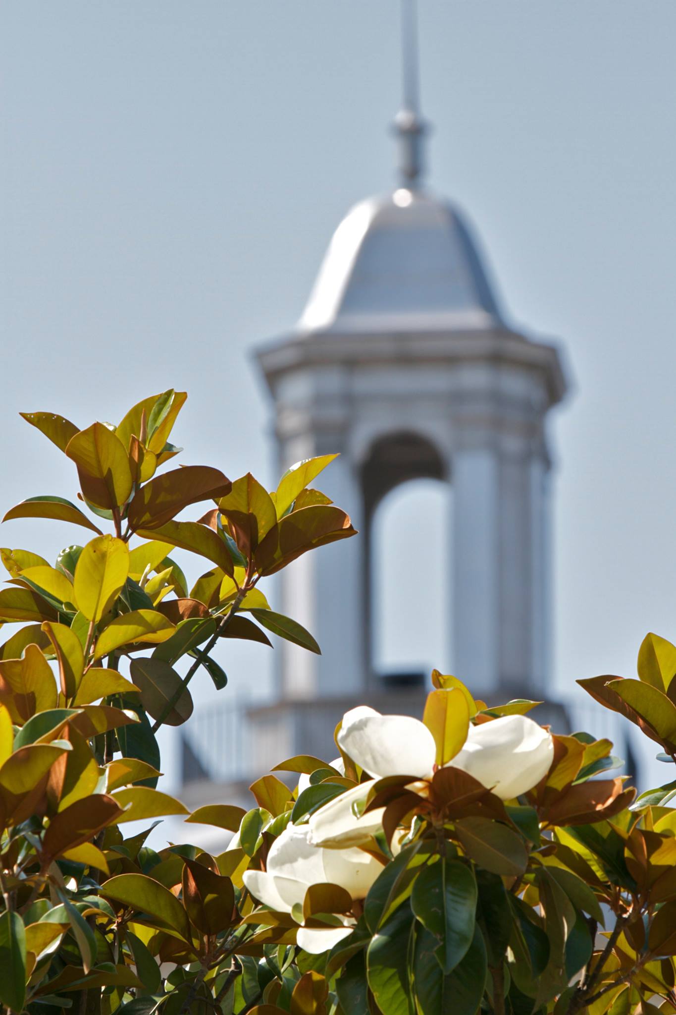 TSU building cupola