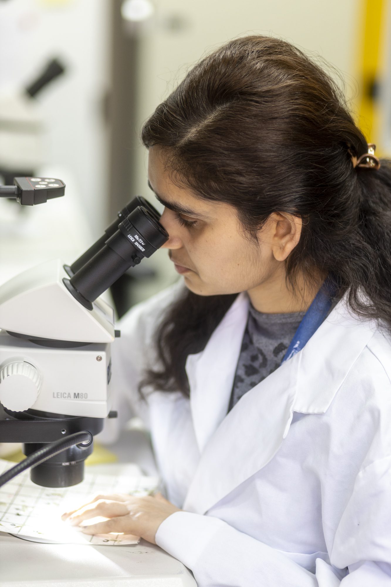 a student looking through a microscope