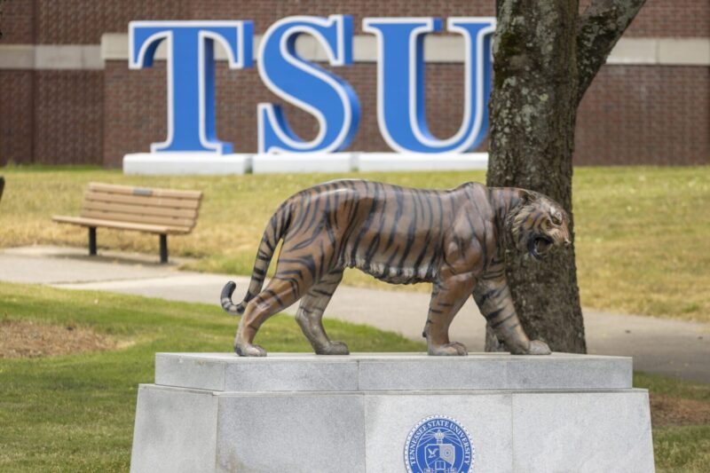 TSU Campus with a tiger sculpture standing on a platform and the letters TSU on a platform