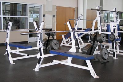 benches and weights gym equipment