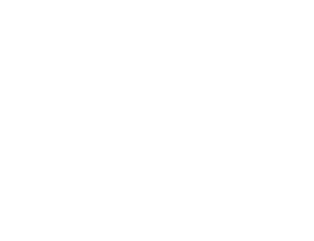 StyleNet, Logo - Nashville Website Design