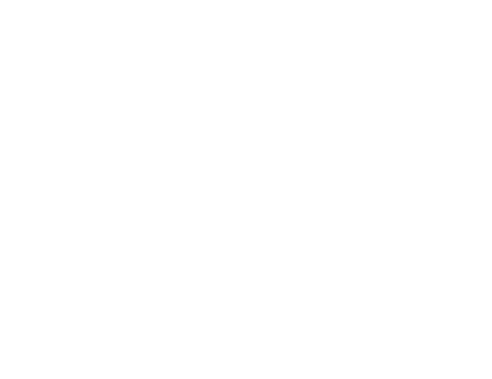 That's Printing Incorporated, Logo - Nashville Website Design