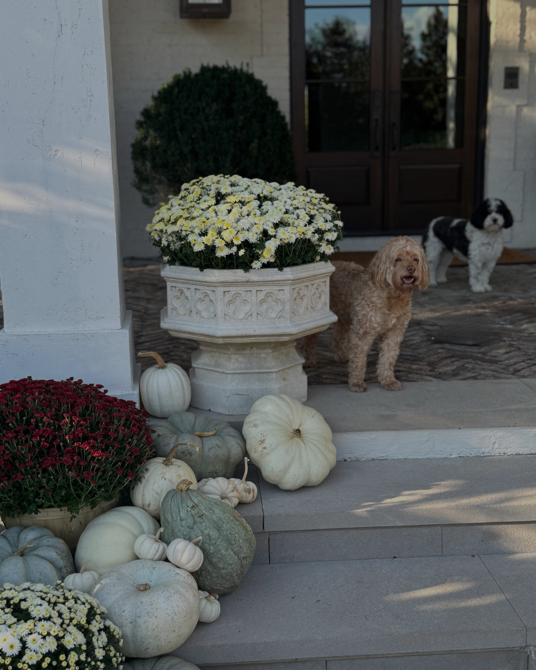 untitled design 18 - e.Allen Boutique